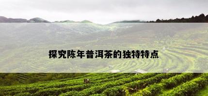 探究陈年普洱茶的独特特点