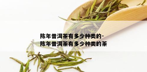 陈年普洱茶有多少种类的-陈年普洱茶有多少种类的茶