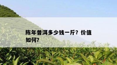 陈年普洱多少钱一斤？价值如何？