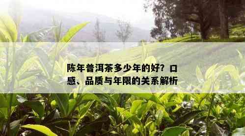 陈年普洱茶多少年的好？口感、品质与年限的关系解析