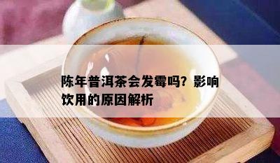 陈年普洱茶会发霉吗？影响饮用的原因解析