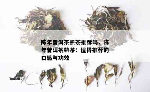 陈年普洱茶熟茶推荐吗，陈年普洱茶熟茶：值得推荐的口感与功效