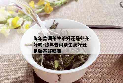 陈年普洱茶生茶好还是熟茶好喝-陈年普洱茶生茶好还是熟茶好喝呢