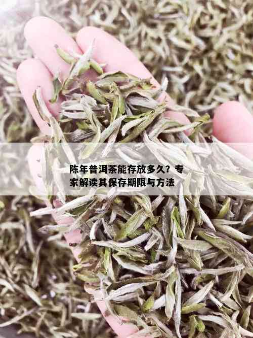 陈年普洱茶能存放多久？专家解读其保存期限与方法