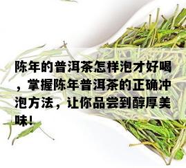 陈年的普洱茶怎样泡才好喝，掌握陈年普洱茶的正确冲泡方法，让你品尝到醇厚美味！