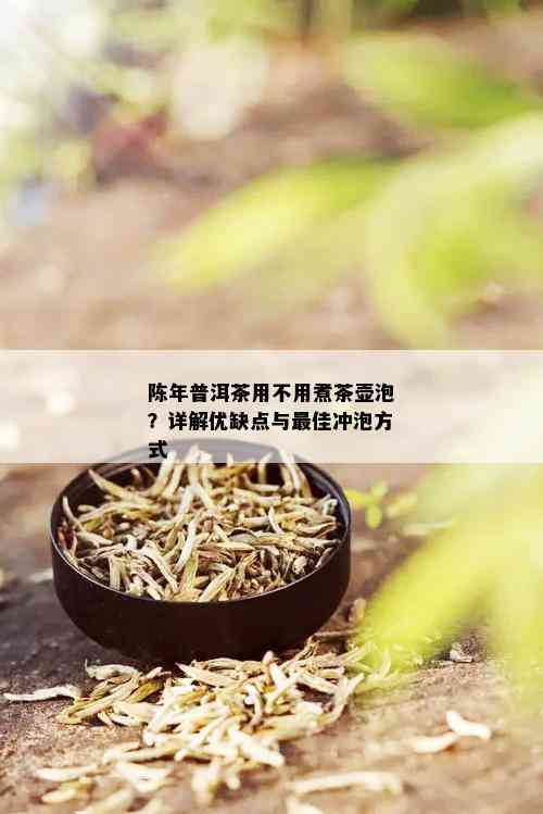 陈年普洱茶用不用煮茶壶泡？详解优缺点与更佳冲泡方式