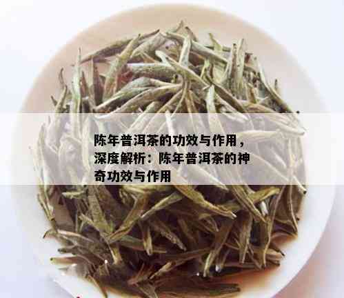 陈年普洱茶的功效与作用，深度解析：陈年普洱茶的神奇功效与作用