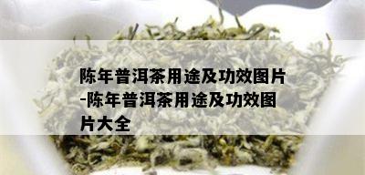 陈年普洱茶用途及功效图片-陈年普洱茶用途及功效图片大全