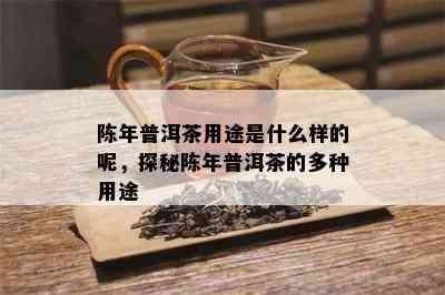 陈年普洱茶用途是什么样的呢，探秘陈年普洱茶的多种用途