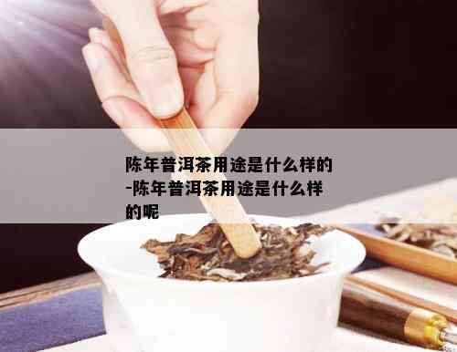 陈年普洱茶用途是什么样的-陈年普洱茶用途是什么样的呢