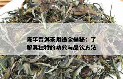 陈年普洱茶用途全揭秘：了解其独特的功效与品饮方法