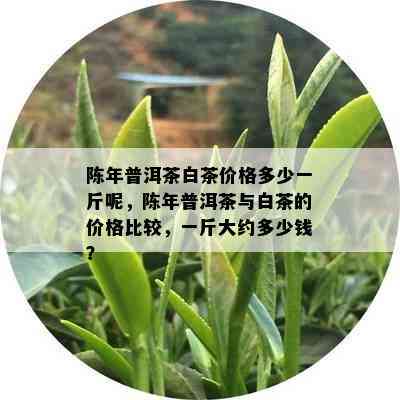 陈年普洱茶白茶价格多少一斤呢，陈年普洱茶与白茶的价格比较，一斤大约多少钱？