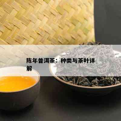 陈年普洱茶：种类与茶叶详解