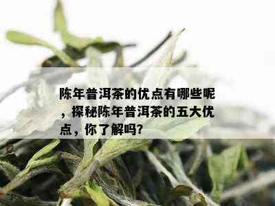 陈年普洱茶的优点有哪些呢，探秘陈年普洱茶的五大优点，你了解吗？