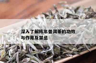 深入了解陈年普洱茶的功效与作用及禁忌