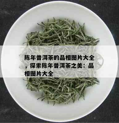 陈年普洱茶的品相图片大全，探索陈年普洱茶之美：品相图片大全