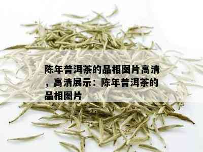 陈年普洱茶的品相图片高清，高清展示：陈年普洱茶的品相图片