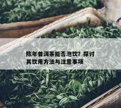 陈年普洱茶能否泡饮？探讨其饮用方法与注意事项