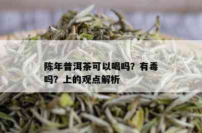 陈年普洱茶可以喝吗？有吗？上的观点解析