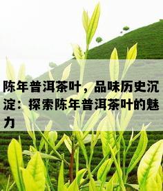 陈年普洱茶叶，品味历史沉淀：探索陈年普洱茶叶的魅力