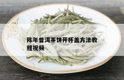 陈年普洱茶饼开杯盖方法教程视频