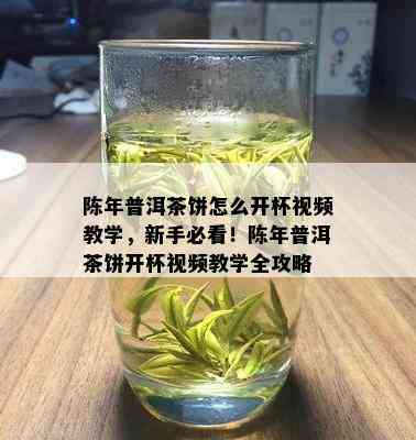 陈年普洱茶饼怎么开杯视频教学，新手必看！陈年普洱茶饼开杯视频教学全攻略