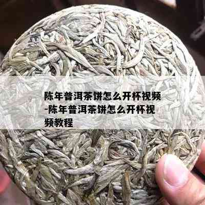 陈年普洱茶饼怎么开杯视频-陈年普洱茶饼怎么开杯视频教程