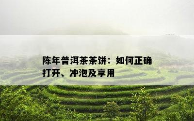 陈年普洱茶茶饼：如何正确打开、冲泡及享用