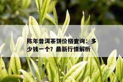 陈年普洱茶饼价格查询：多少钱一个？最新行情解析