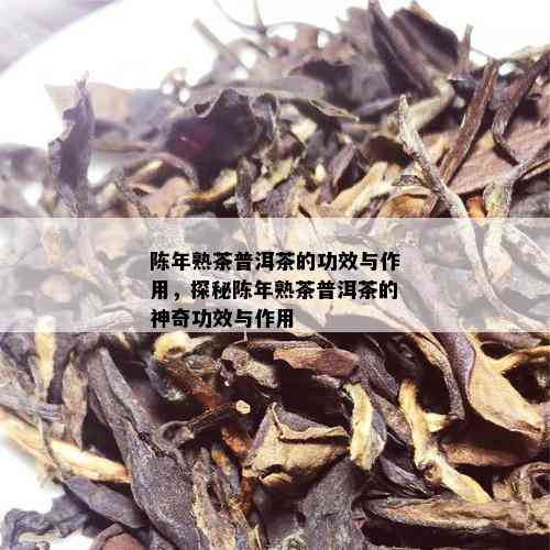 陈年熟茶普洱茶的功效与作用，探秘陈年熟茶普洱茶的神奇功效与作用