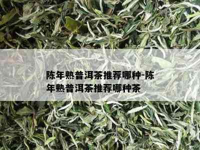 陈年熟普洱茶推荐哪种-陈年熟普洱茶推荐哪种茶