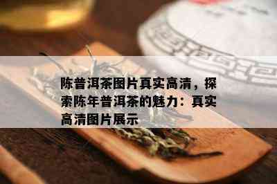 陈普洱茶图片真实高清，探索陈年普洱茶的魅力：真实高清图片展示