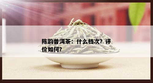 陈韵普洱茶：什么档次？评价如何？