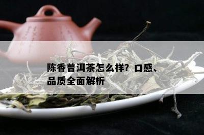 陈香普洱茶怎么样？口感、品质全面解析