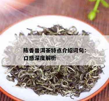 陈香普洱茶特点介绍词句：口感深度解析