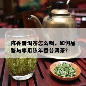 陈香普洱茶怎么喝，如何品鉴与享用陈年香普洱茶？