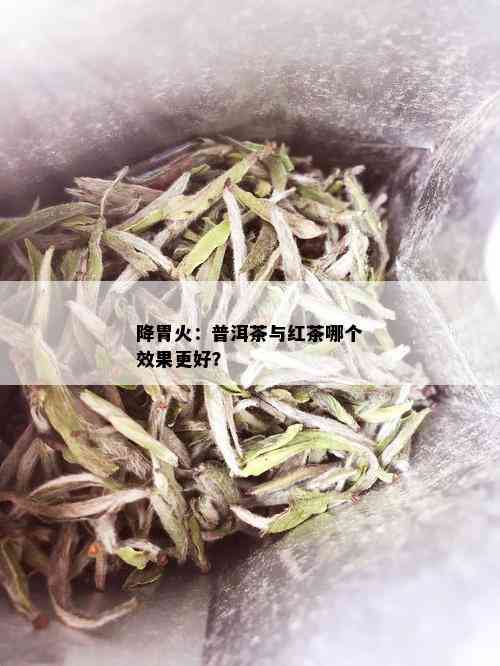 降胃火：普洱茶与红茶哪个效果更好？