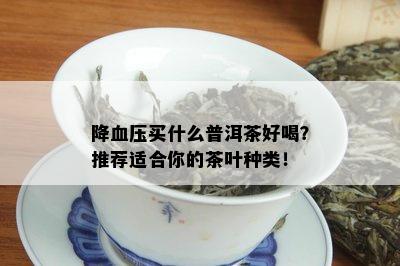 降血压买什么普洱茶好喝？推荐适合你的茶叶种类！