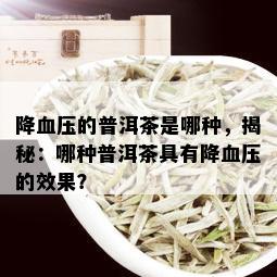 降血压的普洱茶是哪种，揭秘：哪种普洱茶具有降血压的效果？