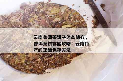 云南普洱茶饼子怎么储存，普洱茶饼存储攻略：云南特产的正确保存方法