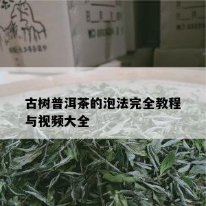 古树普洱茶的泡法完全教程与视频大全