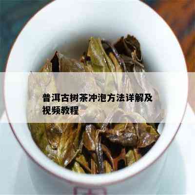 普洱古树茶冲泡方法详解及视频教程