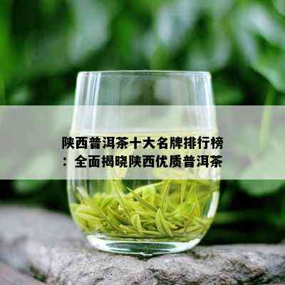 陕西普洱茶十大名牌排行榜：全面揭晓陕西优质普洱茶