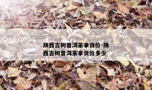 陕西古树普洱茶拿货价-陕西古树普洱茶拿货价多少