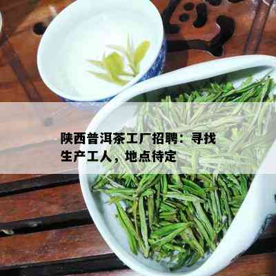 陕西普洱茶工厂招聘：寻找生产工人，地点待定