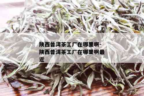 陕西普洱茶工厂在哪里啊-陕西普洱茶工厂在哪里啊最近