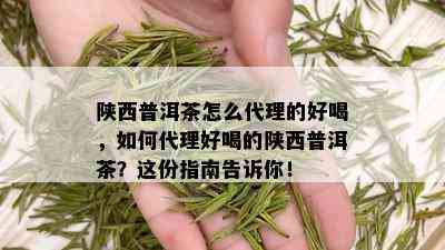 陕西普洱茶怎么代理的好喝，如何代理好喝的陕西普洱茶？这份指南告诉你！