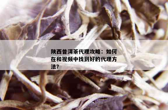 陕西普洱茶代理攻略：如何在和视频中找到好的代理方法？