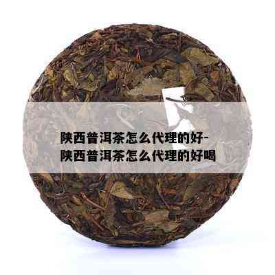 陕西普洱茶怎么代理的好-陕西普洱茶怎么代理的好喝