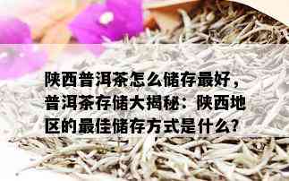 陕西普洱茶怎么储存更好，普洱茶存储大揭秘：陕西地区的更佳储存方式是什么？